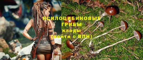 соль курить ск Ельня