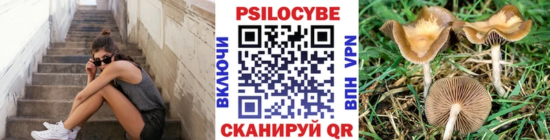 Купить где  Кириллов  Псилоцибиновые грибы GOLDEN TEACHER 